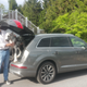 Illustration for article titled These People Asked Jalopnik For Car Buying Advice! Here Are The Cars They Bought